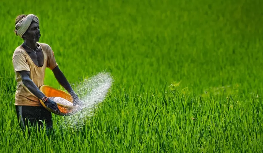 Representational Image Representational Image