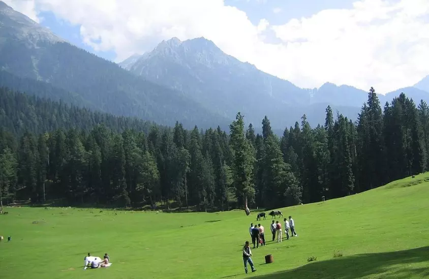 Representational Image Representational Image