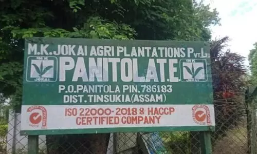 600 agitated workers halt production at Panitola Tea Estate over puja bonus demand