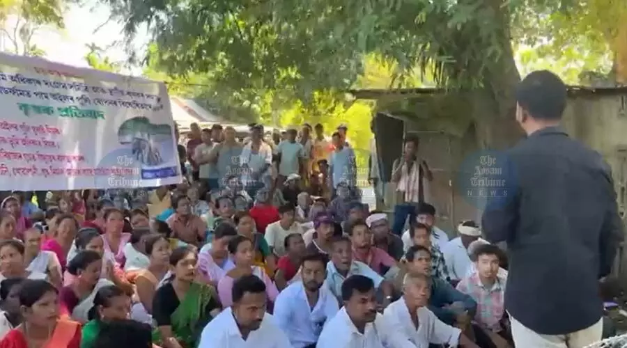 Golaghat locals resume protest against Nagaland’s palm oil plantation in Merapani Golaghat locals resume protest against Nagaland’s palm oil plantation in Merapani