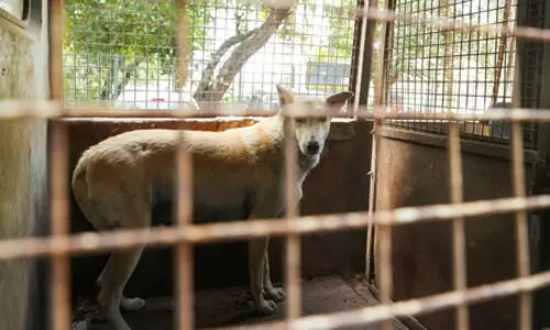 Representational Image