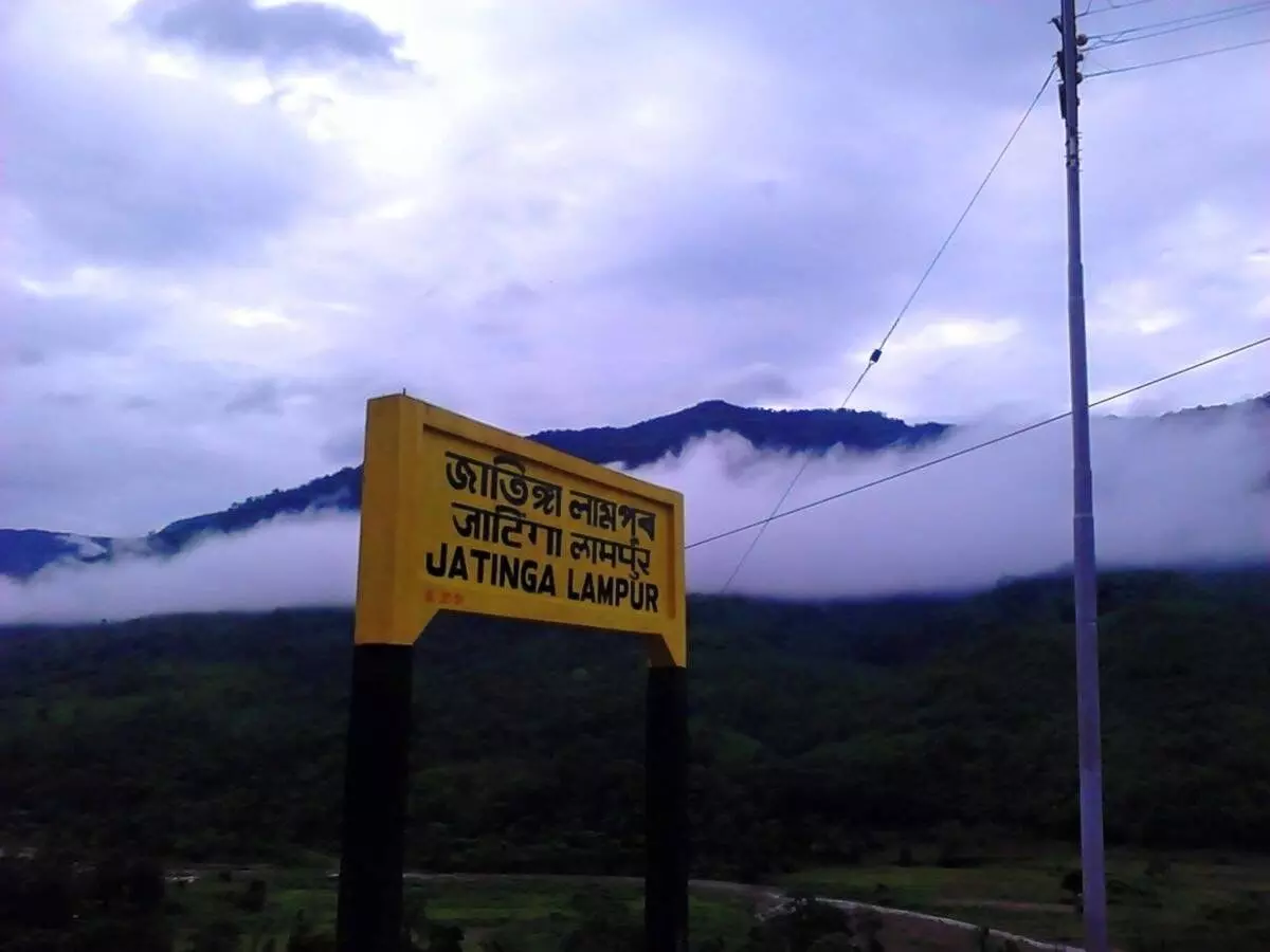 Jatinga welcomes migratory birds, highlighting Dima Hasao’s eco-tourism, heritage Jatinga welcomes migratory birds, highlighting Dima Hasao’s eco-tourism, heritage