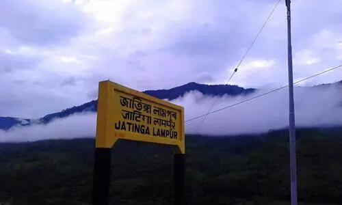 Jatinga welcomes migratory birds, highlighting Dima Hasao’s eco-tourism, heritage