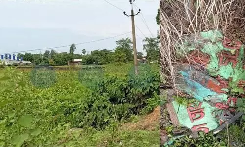 Elephant corridor signboard demolished in Depota; Land mafia suspected