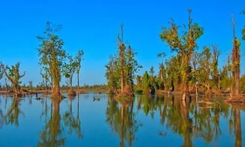 Dibru-Saikhowa’s ecology under threat; experts, activists slam Assam govt