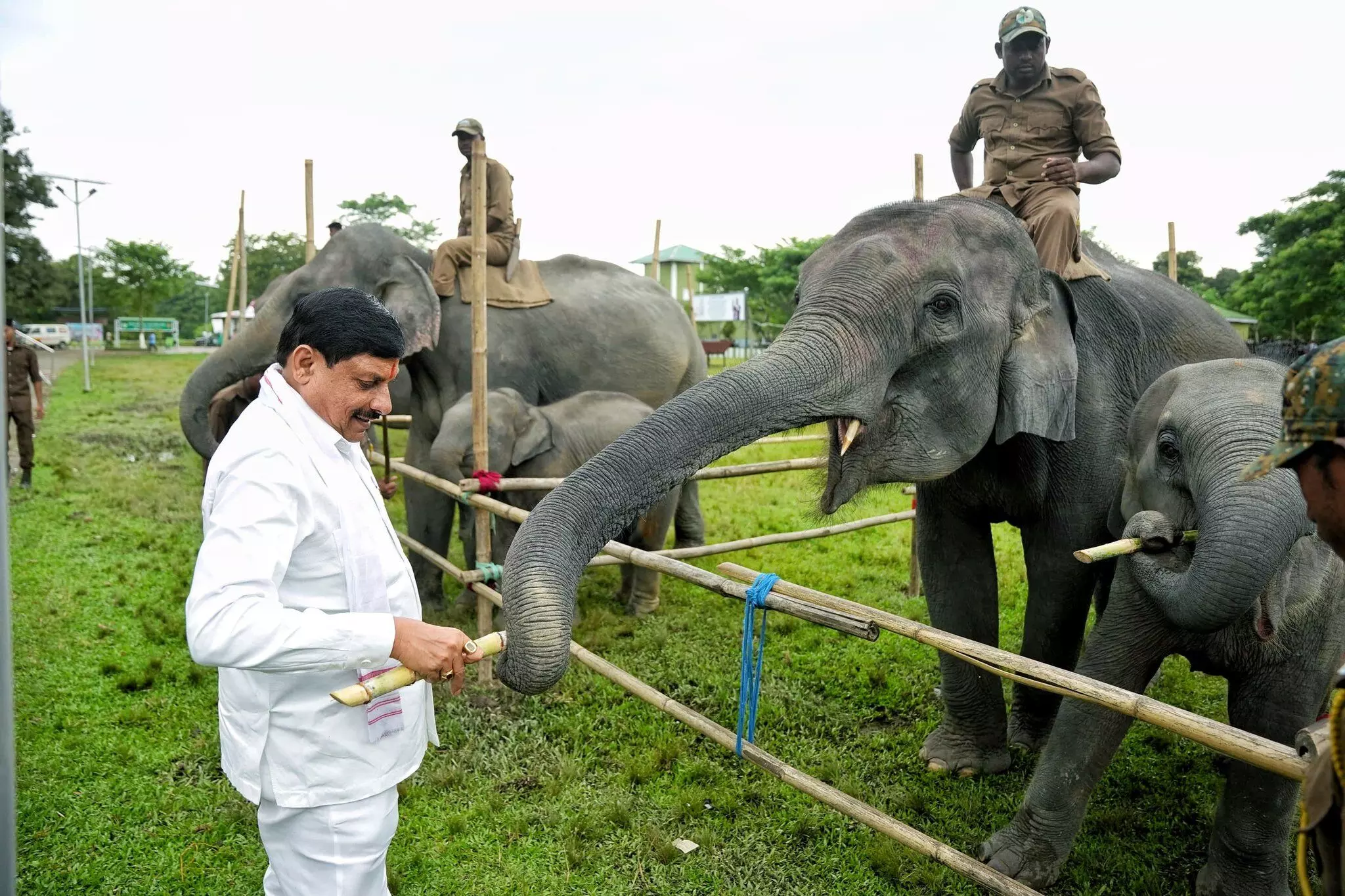Madhya Pradesh CM visits Kaziranga, explores inter-state animal exchange plan Madhya Pradesh CM visits Kaziranga, explores inter-state animal exchange plan