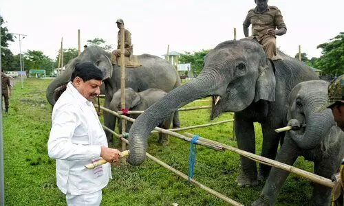 Madhya Pradesh CM visits Kaziranga, explores inter-state animal exchange plan