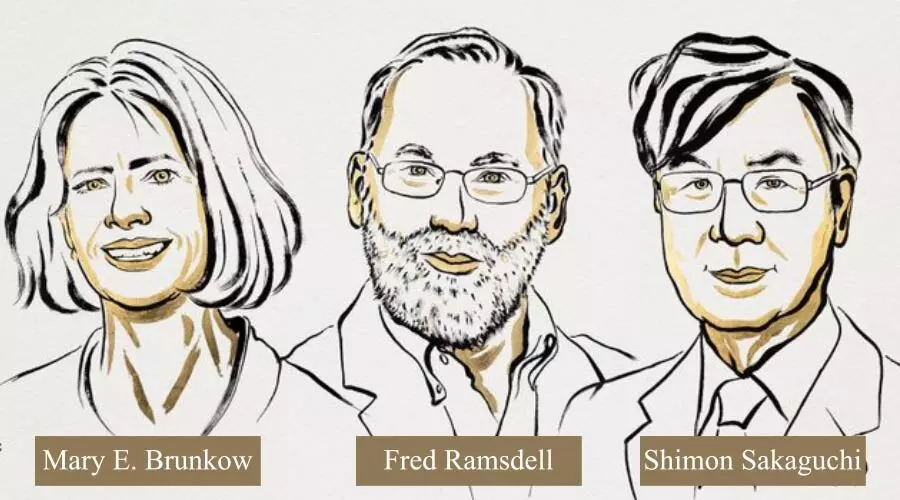 2025 Nobel in Medicine goes to trio for discovering immune system’s ‘security guards’ 2025 Nobel in Medicine goes to trio for discovering immune system’s ‘security guards’