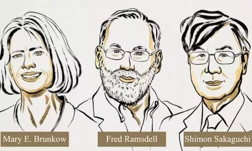 2025 Nobel in Medicine goes to trio for discovering immune system’s ‘security guards’