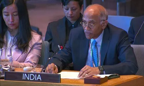 Bombs its own people, sanctions genocides’: India rips into Pakistan at UNSC