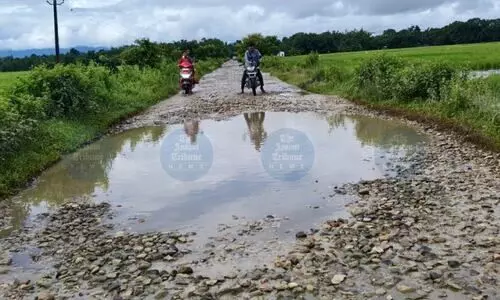 Development still a dream’: Over 3,000 Bodo villages in Northern Assam slam govt neglect