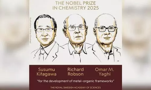 Kitagawa, Robson & Yaghi win Nobel in Chemistry for Metal–Organic Frameworks
