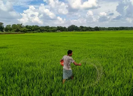 Farmers to earn Rs 84,263 crore from rabi crops after MSP hike for 2026-27