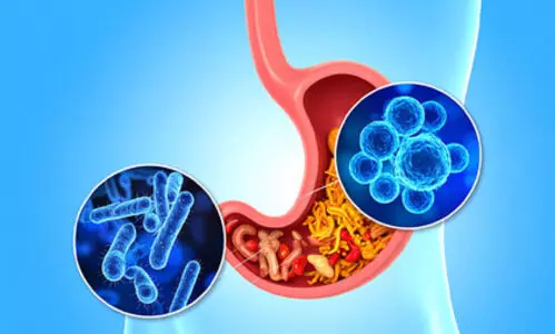 Research finds gut health linked to improvement in depression and anxiety