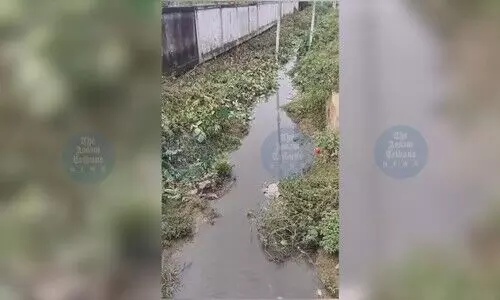 Industrial waste from ethanol plants triggers ecological crisis in Goalpara’s Mornoi