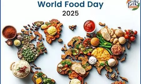 India’s food security system ensures food, nutritional equity for 81 crore people: Govt India’s food security system ensures food, nutritional equity for 81 crore people: Govt