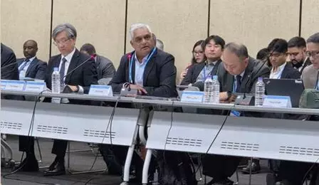 India elected co-chair of UN Global Geospatial Regional Committee