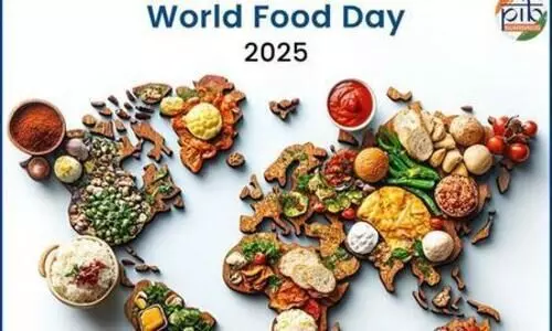 India’s food security system ensures food, nutritional equity for 81 crore people: Govt