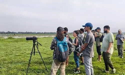 Two-hour Dorabeel birding event documents 59 avian species