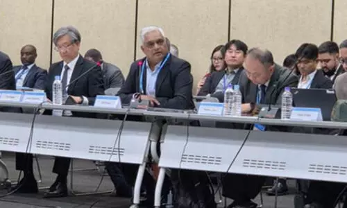 India elected co-chair of UN Global Geospatial Regional Committee