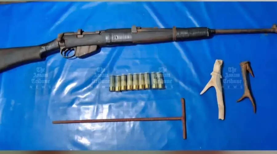Joint operation foils rhino poaching bid in Assam, three arrested, arms recovered