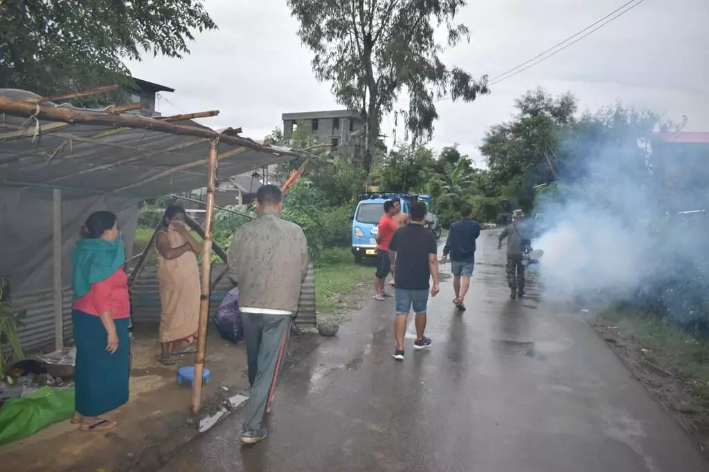 Dengue cases spike in Manipur; 102 new infections reported across six districts