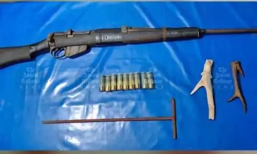 Joint operation foils rhino poaching bid in Assam, three arrested, arms recovered