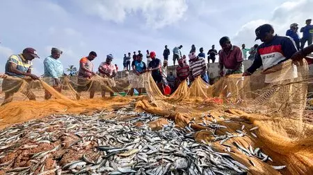 Seafood exports set to rise under India-UK trade agreement: MPEDA