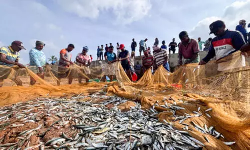 Seafood exports set to rise under India-UK trade agreement: MPEDA