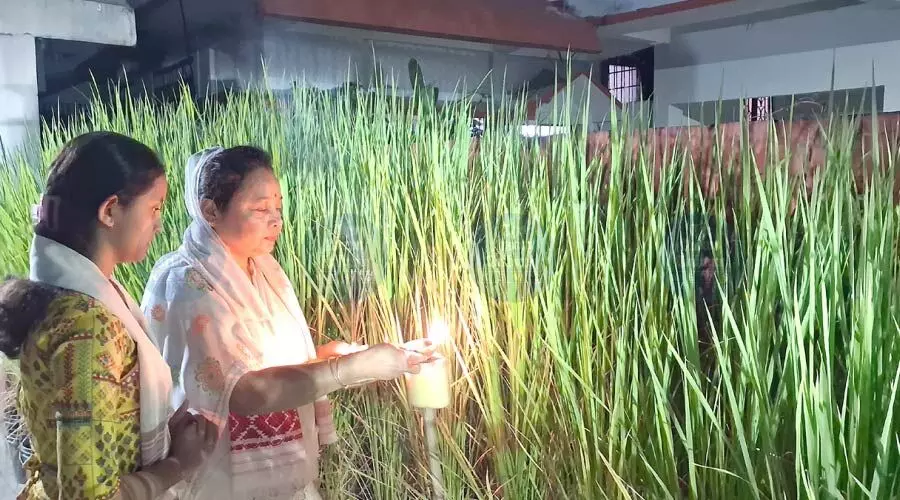From lamps in fields to lights in shops, state observes Kati Bihu & Dhanteras together