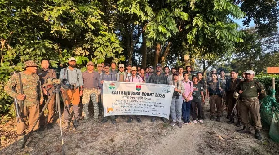 Kaziranga records 146 bird species in Kati Bihu count, includes rare sightings Kaziranga records 146 bird species in Kati Bihu count, includes rare sightings