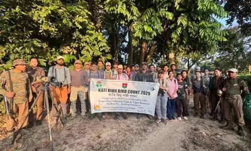 Kaziranga records 146 bird species in Kati Bihu count, includes rare sightings