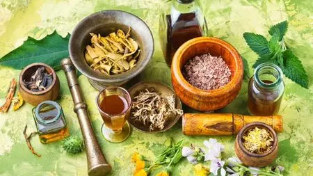CSIR-NIScPR: Ayurveda Day now a global health movement beyond national observance CSIR-NIScPR: Ayurveda Day now a global health movement beyond national observance