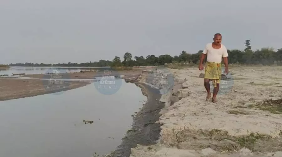 Let’s Grow Forests in Zubeen’s Name: Forest man Jadav Payeng