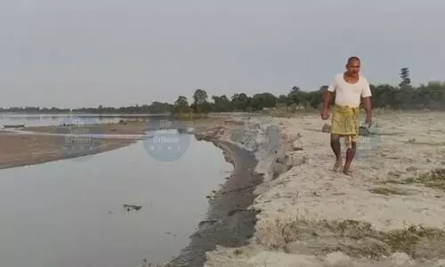 Let’s Grow Forests in Zubeen’s Name: Forest man Jadav Payeng