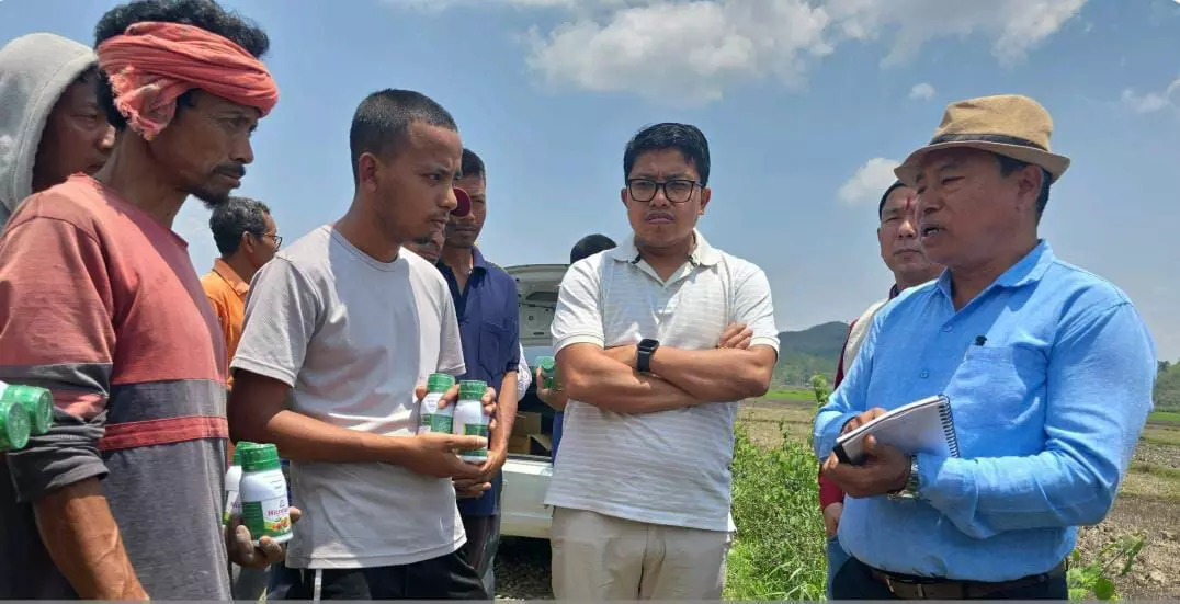 Manipur to export first batch of 20 MT Chakhao white rice to Japan by end of 2025 Manipur to export first batch of 20 MT Chakhao white rice to Japan by end of 2025