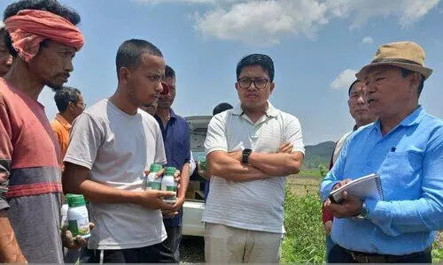 Manipur to export first batch of 20 MT Chakhao white rice to Japan by end of 2025