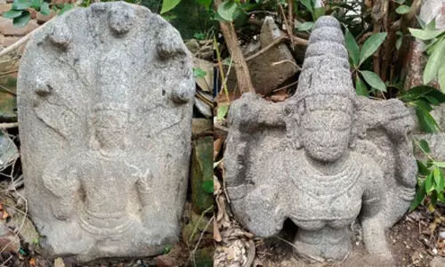 Chola-era sculptures discovered near Villupuram village in Tamil Nadu