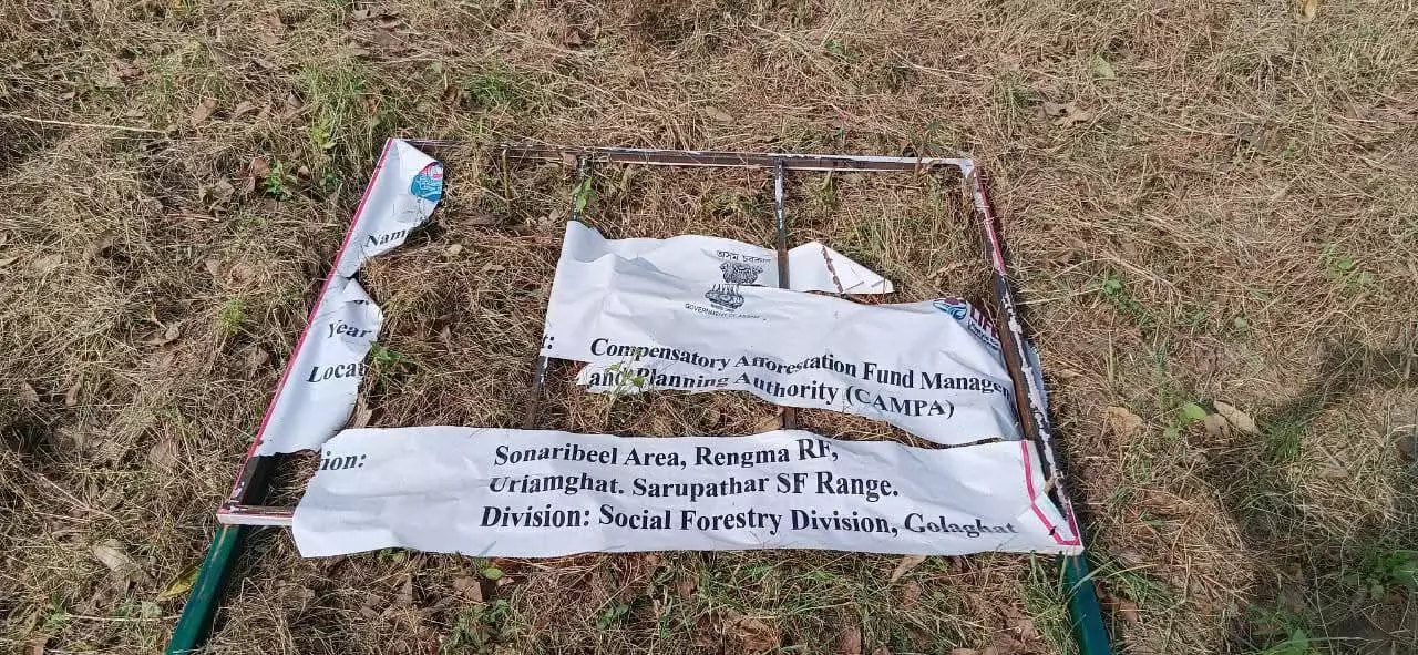 Fresh tension on Assam–Nagaland border as miscreants uproot saplings in Uriamghat Fresh tension on Assam–Nagaland border as miscreants uproot saplings in Uriamghat