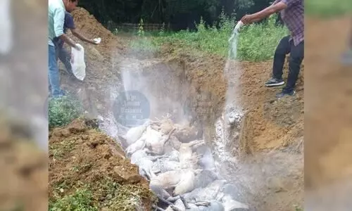 ASF outbreak prompts containment measures across 193 villages in Dibrugarh