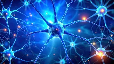 Eating dark chocolate, berries may improve memory and cut stress: Study