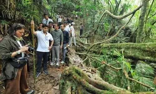 ‘Mother Nature’s pathway’: Scindia awed by Meghalaya’s living root bridges