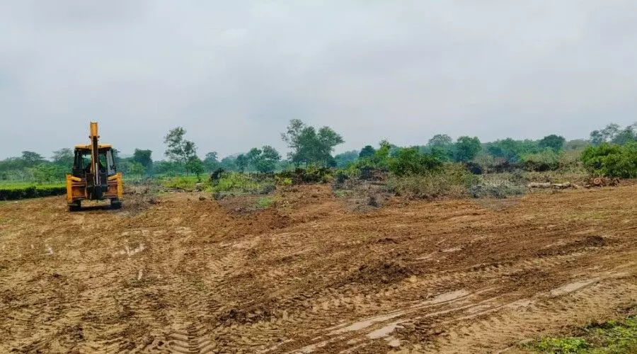 AASAA opposes OILs move to clear tea bushes in Naharkatiya, warns of agitation