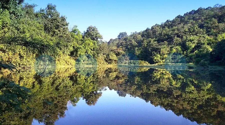Encroachment & urbanisation risk Guwahati’s natural treasure, Amchang Wildlife Sanctuary