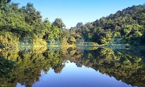 Encroachment & urbanisation risk Guwahati’s natural treasure, Amchang Wildlife Sanctuary