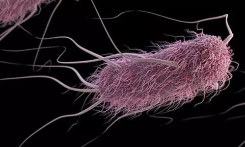 Study finds antimicrobial peptides effective against Salmonella, E. coli, AMR