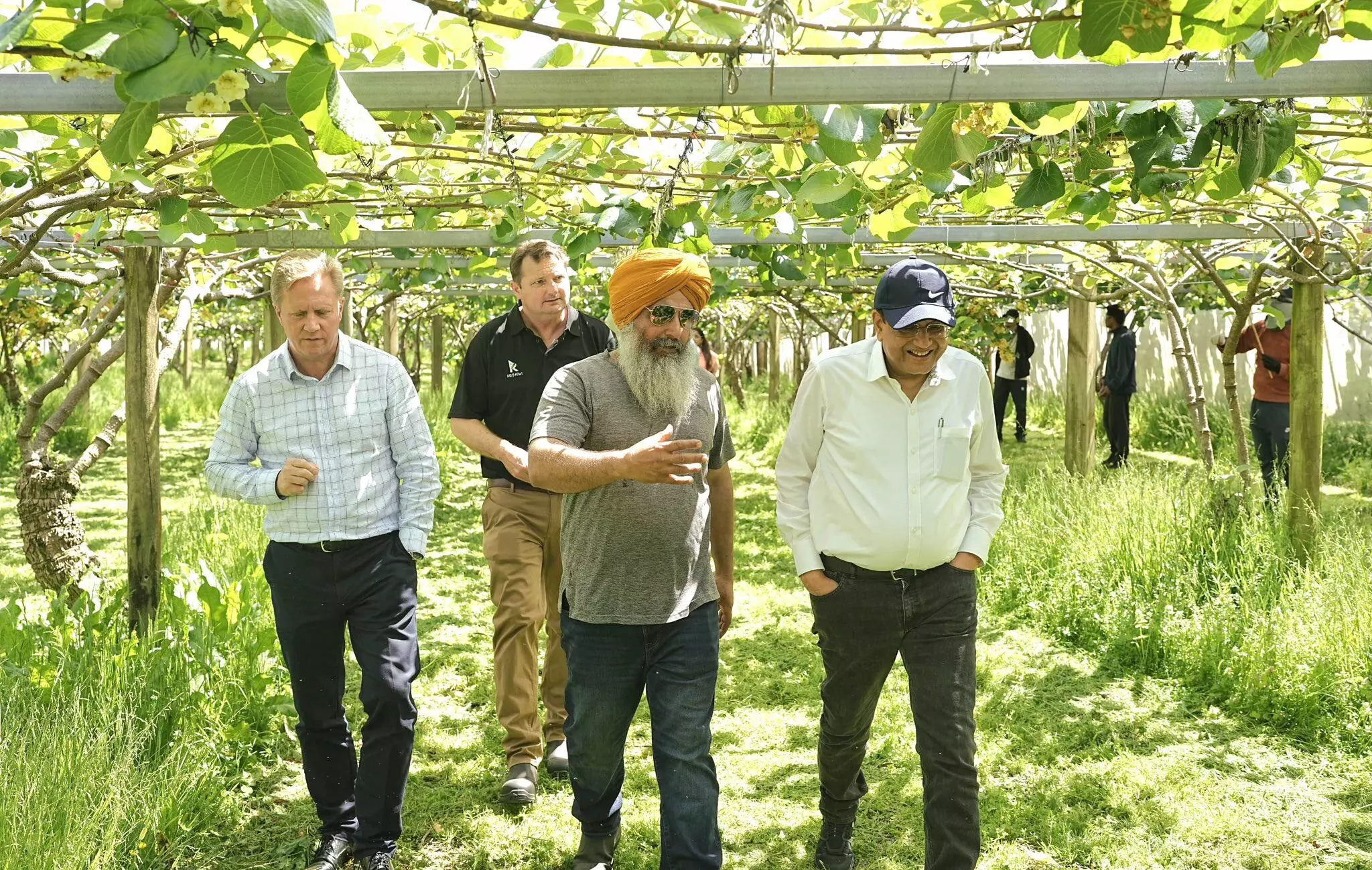 Piyush Goyal thanks Kiwi-Indian farmers, calls orchard visit highly productive