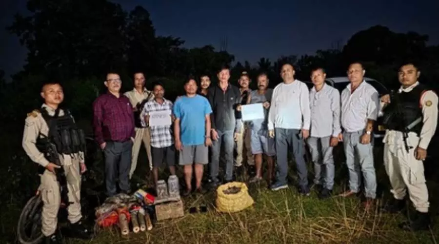 STF busts wildlife trafficking racket in Nagaon, pangolin scales & tokay geckos seized