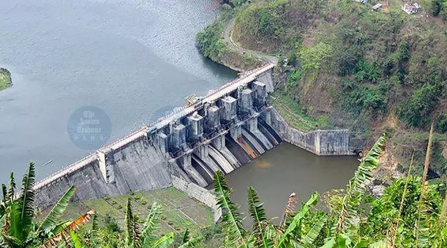 Floodplain zoning, timely dam release key for downstream safety in Assam: NESAC study