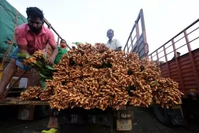Erode turmeric farmers embrace e-NAM platform for better market prices Erode turmeric farmers embrace e-NAM platform for better market prices